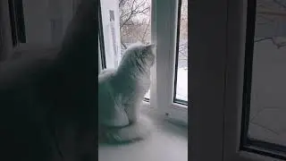 #весна