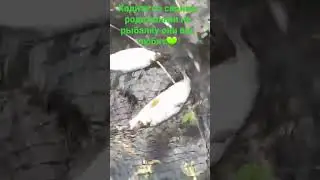 я на рыбалке с папой на велосипеде 