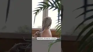 Разберемся вредно ли мыть голову и как часто это нужно делать 