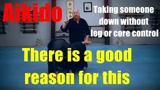 Aikido takedowns ude osae
