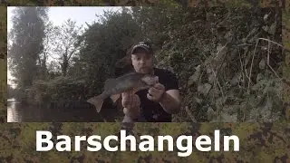 Barsch angeln - Ultra light