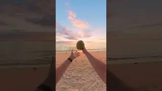 Coconut catch 🥥🌴  #insta360x3 #pointofview #shorts