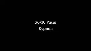 Жан-Филипп Рамо. Курица