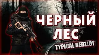 [STAYOUT EU1] Черный лес - Typical Berzloy