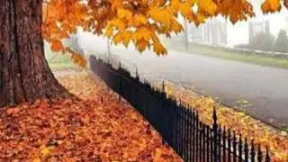 Куз. Кузгу айлар