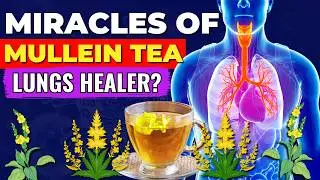 When You Drink Mullein Tea Daily Here's What Happens to Your Body (Mullein tea benefits)