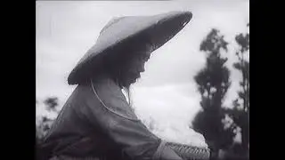 Týden ve filmu 7/1959
