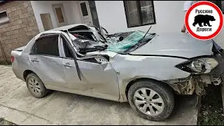 ДТП с деревом в Дагестане | Ваши Видео #66