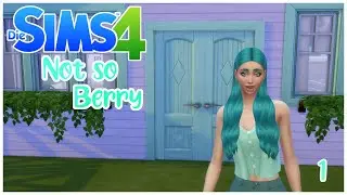 Wir fangen an//Die Sims 4 Not So Berry Challenge Part 1🍓