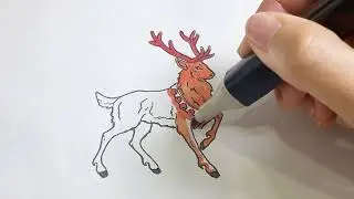 Coloring picture of reindeer