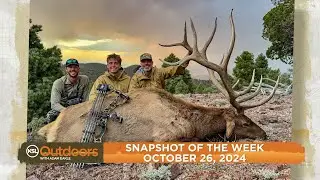Snapshot of the Week: October 26, 2024