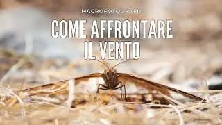 MACROFOTOGRAFIA: come fotografare con il VENTO