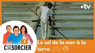 Sel de la mer à la terre - C'est pas sorcier [Intégrale]