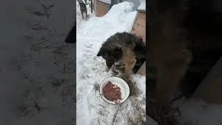 Баба Клава 🤗