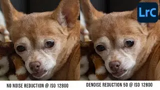 Lightroom Classic Denoise AI / Does it Work?