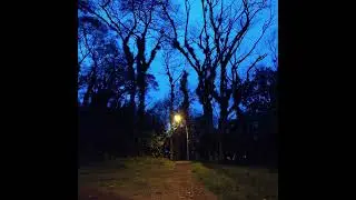 Frod - Un árbol para recordar (2022) (Full álbum)
