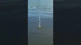 Лето