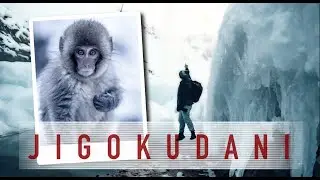 Traveling Solo to the Snow Monkey of Jigokudani