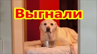 Мисси переехала