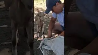 А меня всё устраивает