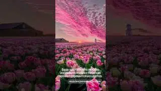 Будь чист и пусть любовь изливается через тебя, как аромат стремится из цветка. #мариямарихами