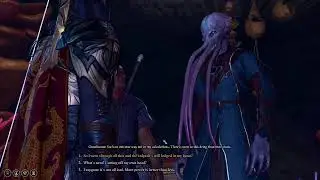 Baldur's Gate 3, custom party, tactician mode, Under Dark!