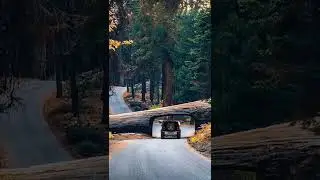 Beauty of nature #nature natural beauty