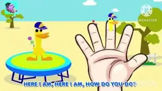 Pocoyo finger family 