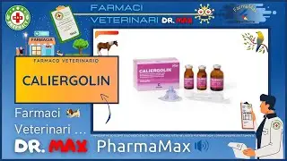 🐶 CALIERGOLIN Farmaco Veterinario a cosa serve ? - Foglietto Illustrativo Salute