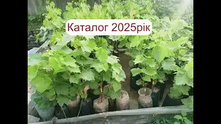 Vegetative seedlings catalog 2025