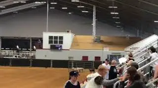 Tio Pepe-ASCA Nationals, Finals Sheep