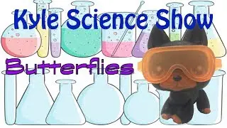 LPS Kyle Science Show - Butterflies!