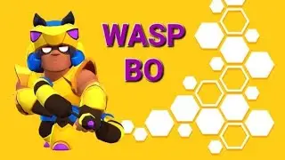 Wasp Bo 🐝