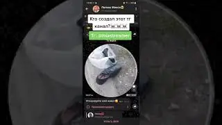 Кто создал этот телеграмм канал?☠️☠️Тяги Бархатные #shorts
