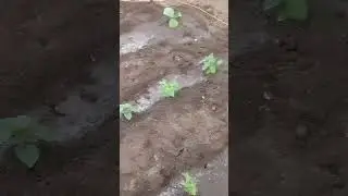 Хотела чуть, чуть😂.