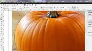 CorelDRAW X6 Seed Painting Easy Pumpkin.