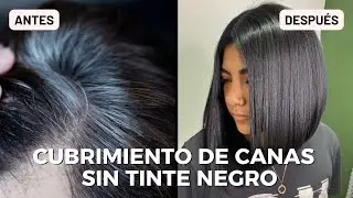 Cubrimiento de Canas | NO TINTE NEGRO