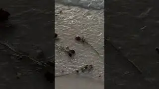 Yerine düşen Gül, düşmeyen kül olur🥀
