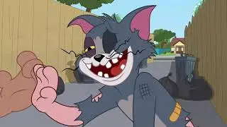 The Tom and Jerry Show Attachment Disorder