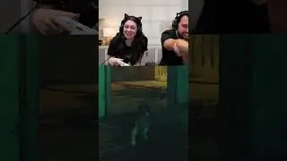 This cat reaction is so accurate...