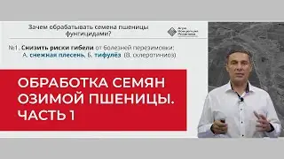 Обработка семян озимой пшеницы. Зачем делать? Часть 1 | Агроном | Сергий Ризанов