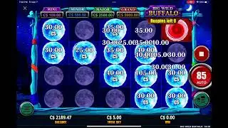 BIG WILD BUFFALO…..LOOOOOOOOSE GAME ALWAYS PAYING
