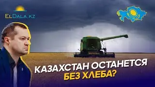 ЖАТВА В КАЗАХСТАНЕ ПОД УГРОЗОЙ. Комбайны не выходят в поля, некачественное зерно и рост цен в 2024