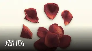 YENTED - URDAWG [OFFICIAL VISUALIZER]