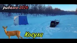 Зимняя Рыбалка 2024 года. Трудовая рыбалка -35. Как поймать окуня в глухозимье? Рыбалка на жерлицы.