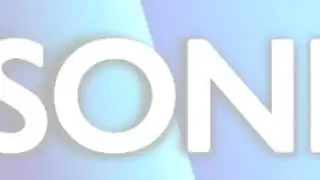 Soniclton Entertainment Inc. Logo Package