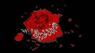 ATI/Alphanim / raniC (666)