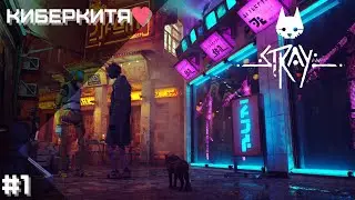 [RU] STRAY + GENSHIN IMPACT | STREAM