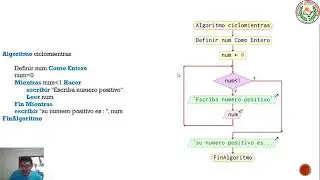ciclo while seudocodigo y diagrama de flujo