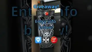 🔥🎸 Beetronics Giveaway! CLOSED